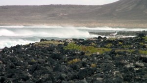 Denel brothers on Fuerteventura's North Shore