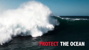 Florian Jung & his friends will share teh message to protect the ocean in the near future