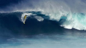 Marcilio Browne at Jaws February 2016