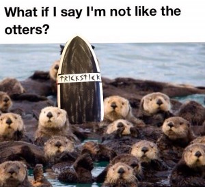 What if I say I'm not like the otters?