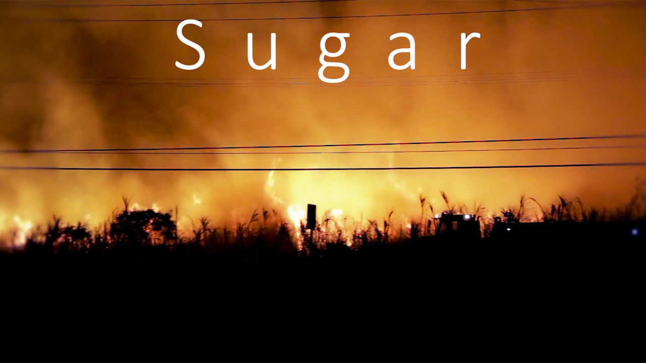 Sugar, Maui by Robert Heffel