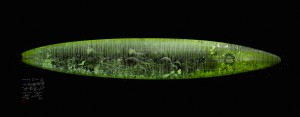 GMac board spirit green by Mark Wengler