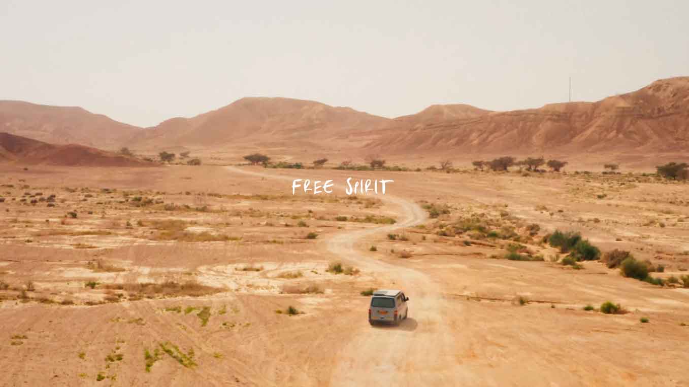 Free Spirit by Dudu Levi